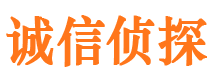 蔡甸侦探公司